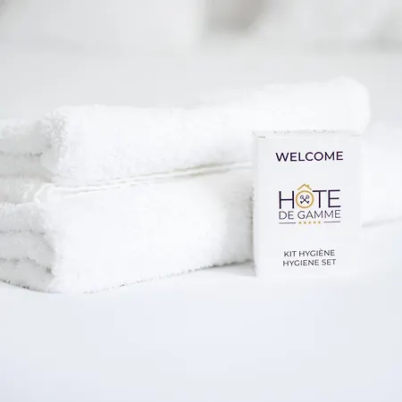 Maison En Plein Coeur Des Sables D'olonne Ferienhaus