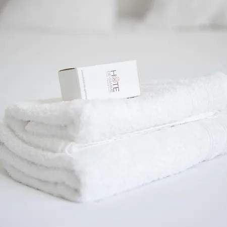 Maison En Plein Coeur Des Sables D'olonne